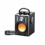 רמקול נייד גדול עם מיקרופון